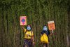 EARTH-DAY-1246437.JPG